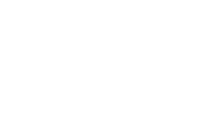 vesqom logo wit