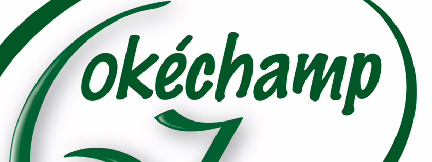 How OKECHAMP saves 85% of time on product specifications with Advanced-Forms®