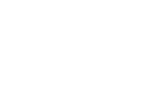 auping logo wit